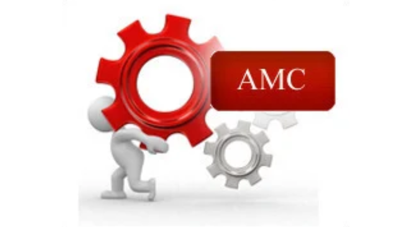 Top 5 Challenges Businesses Face Without Tally AMC Support