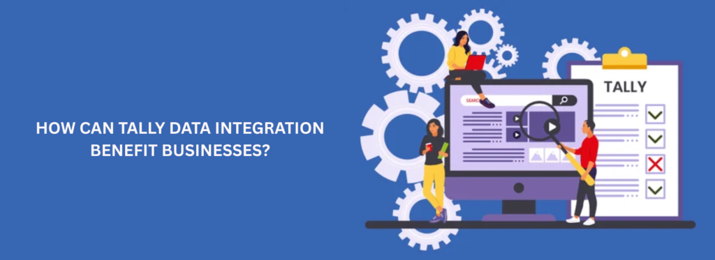How Can Tally Data Integration Benefit Businesses?
