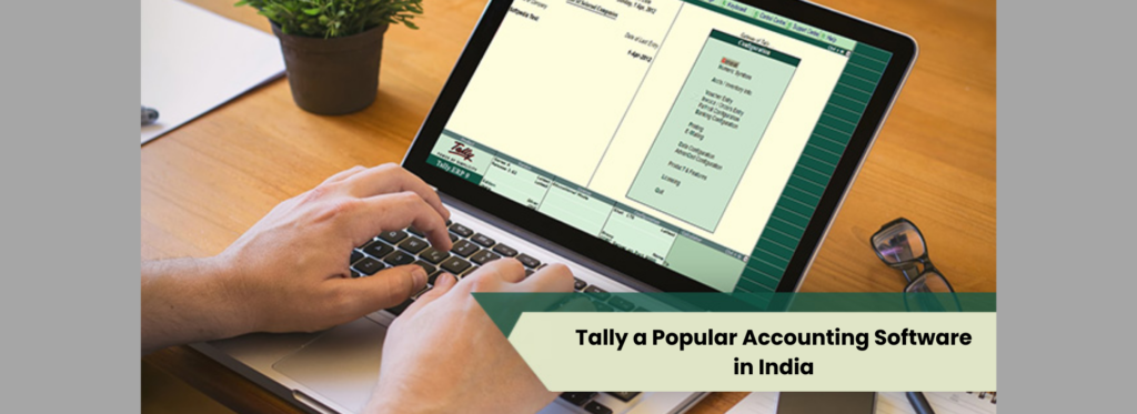 Why is Tally a Popular Accounting Software in India?