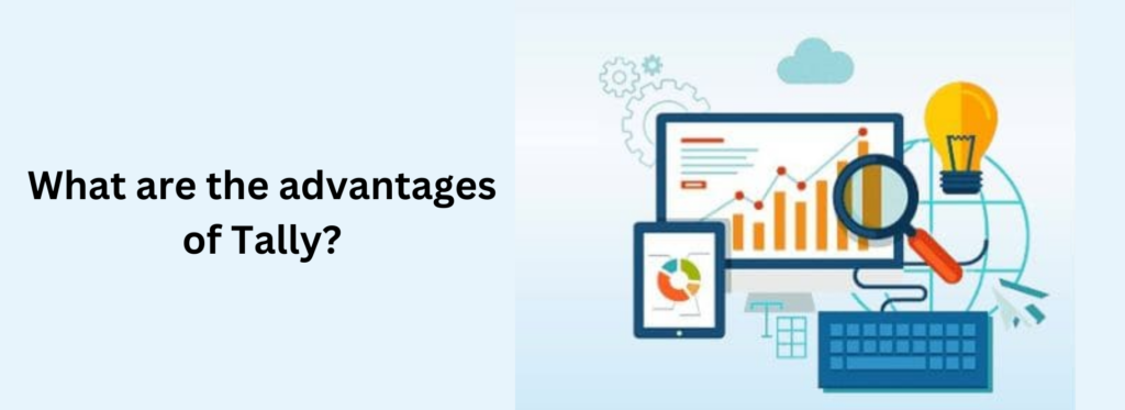What are the advantages of Tally?
