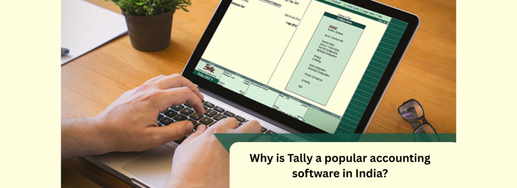 Why is Tally a popular accounting software in India?