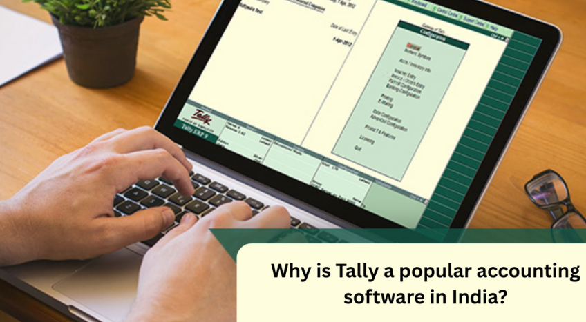Why is Tally a popular accounting software in India?
